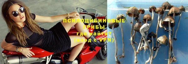 мяу мяу кристалл Ельня