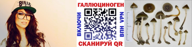 Галлюциногенные грибы MAGIC MUSHROOMS Боровичи